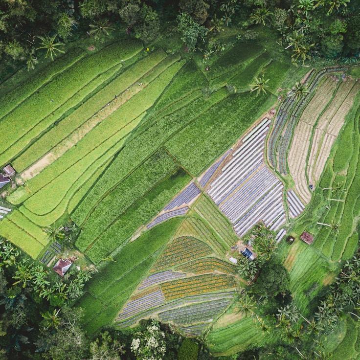 Family terraces and cafés for calm evenings in Paris